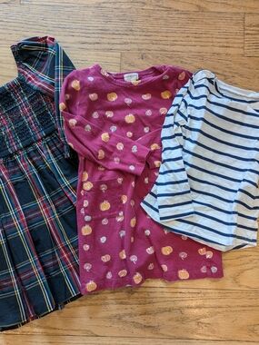 J. Crew Kids Set - Berry Pink Pumpkin Print Dress with Navy Stripes & Plaid